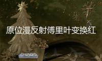 原位漫反射傅里葉變換紅外光譜儀中標結果公告