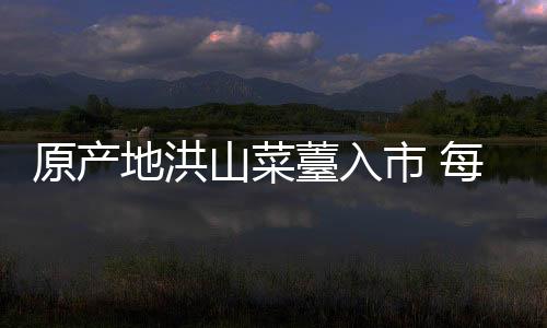 原產地洪山菜薹入市 每公斤200元起