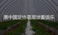 原中國足協(xié)高層涉案俱樂部數(shù)量：董錚23家，陳永亮20多家