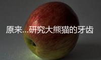 原來…研究大熊貓的牙齒，避孕和爆米花…也是可以發(fā)頂刊的 – 材料牛