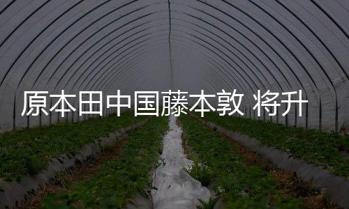 原本田中國藤本敦 將升任東風本田總經理