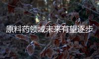 原料藥領域未來有望逐步見底回升，這些企業值得關注！