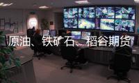 原油、鐵礦石、稻谷期貨將逐步推出
