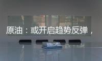 原油：或開啟趨勢反彈，關注OPEC+會議