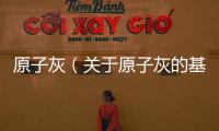 原子灰（關于原子灰的基本情況說明介紹）