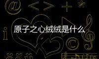 原子之心絨絨是什么