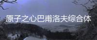 原子之心巴甫洛夫綜合體的密碼門密碼在哪
