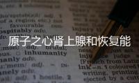 原子之心腎上腺和恢復能量的怎么用