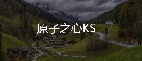 原子之心KS