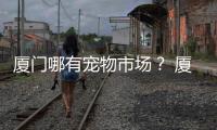 廈門哪有寵物市場？ 廈門有寵物市場嗎