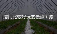 廈門比較好玩的景點（廈門哪個景點好玩）