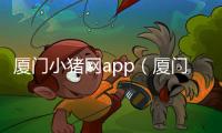 廈門(mén)小豬網(wǎng)app（廈門(mén)小豬網(wǎng)）