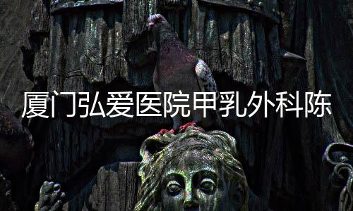 廈門弘愛(ài)醫(yī)院甲乳外科陳瀛醫(yī)師：以愛(ài)為名 潛心向?qū)W的刀鋒良醫(yī)
