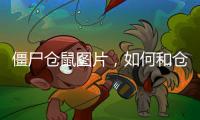 僵尸倉鼠圖片，如何和倉鼠玩耍