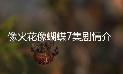 像火花像蝴蝶7集劇情介紹