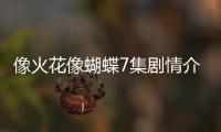 像火花像蝴蝶7集劇情介紹