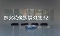 像火花像蝴蝶31集32集劇情介紹（32集大結局）【電視劇】風尚中國網