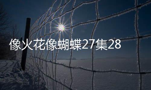 像火花像蝴蝶27集28集劇情介紹【明星】風尚中國網(wǎng)