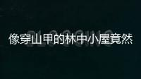像穿山甲的林中小屋竟然是一間環保型奢侈酒店（組圖）