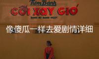像傻瓜一樣去愛劇情詳細介紹