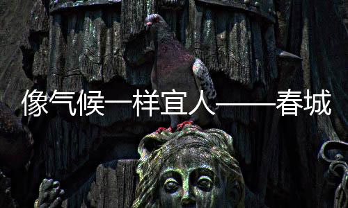 像氣候一樣宜人——春城昆明著力打造營商環境
