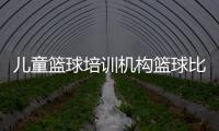 兒童籃球培訓機構籃球比賽實時比分籃球總決賽直播時間