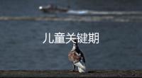 兒童關鍵期