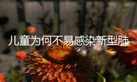 兒童為何不易感染新型肺炎？上海專家：成人接觸病原機會更多