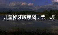 兒童換牙順序圖，第一顆通常這個時候換！
