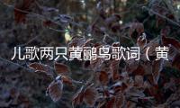 兒歌兩只黃鸝鳥歌詞（黃鸝鳥歌詞）