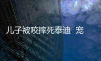 兒子被咬摔死泰迪  寵物狗傷人責任誰承擔？
