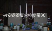 興安鋼塑復合拉筋帶30020C廠家