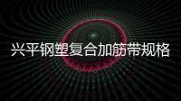 興平鋼塑復合加筋帶規格