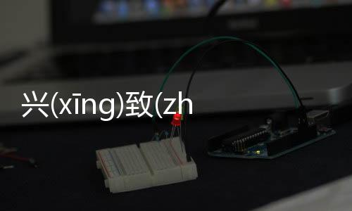興(xīng)致(zhì)勃(bó)勃(bó)詳情介紹！