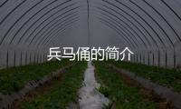 兵馬俑的簡介