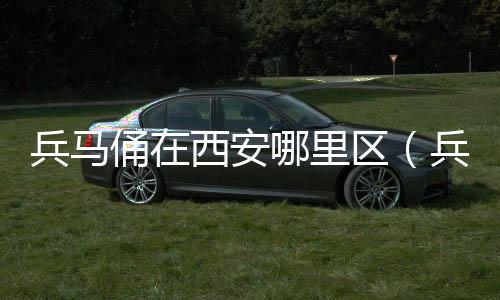 兵馬俑在西安哪里區(qū)（兵馬俑在西安哪里）