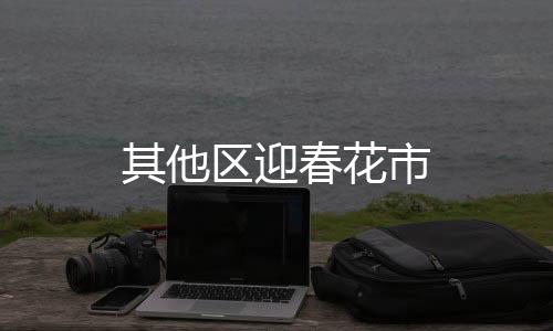 其他區迎春花市