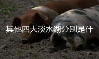 其他四大淡水湖分別是什么（四大淡水湖分別是）