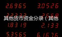 其他貨幣資金分錄（其他貨幣資金）