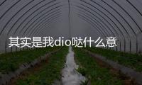 其實是我dio噠什么意思什么梗？其實是我dio噠含義解釋及用法