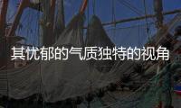 其憂郁的氣質獨特的視角