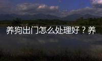 養狗出門怎么處理好？養狗出去玩怎么辦