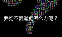 養狗不愛遛狗怎么辦呢？養狗從來不溜