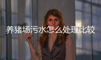 養豬場污水怎么處理比較好？