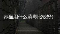 養貓用什么消毒比較好(養貓需要用什么消毒)