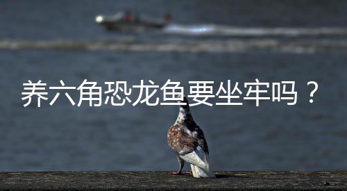 養六角恐龍魚要坐牢嗎？ 賣六角恐龍被判刑