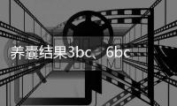 養囊結果3bc、6bc,移植應如何選,囊胚小知識看完便知