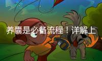 養囊是必備流程！詳解上海集愛試管嬰兒全過程
