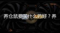 養倉鼠要買什么藥好？養倉鼠要備什么藥
