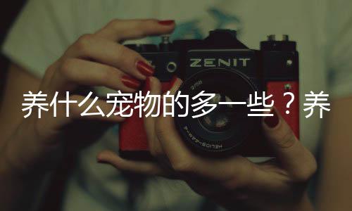 養(yǎng)什么寵物的多一些？養(yǎng)什么寵物的人最多排名